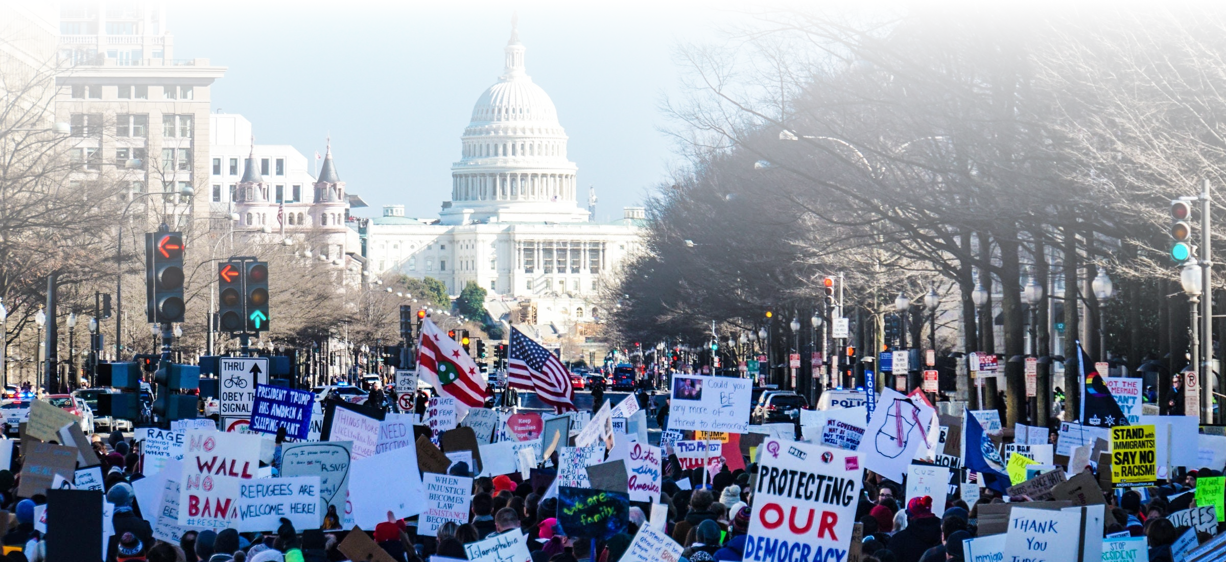 Protecting Our Democracy protest by Ted Eytan xl cropped Gradient