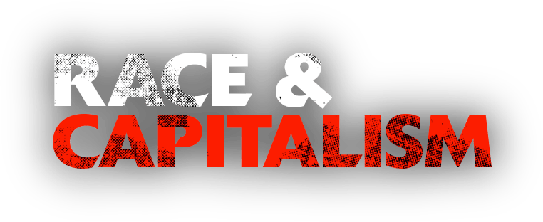 Essay on capitalism